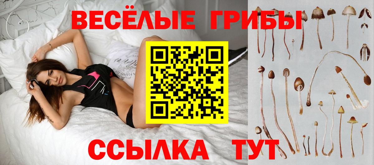 Псилоцибиновые грибы мицелий Лобня