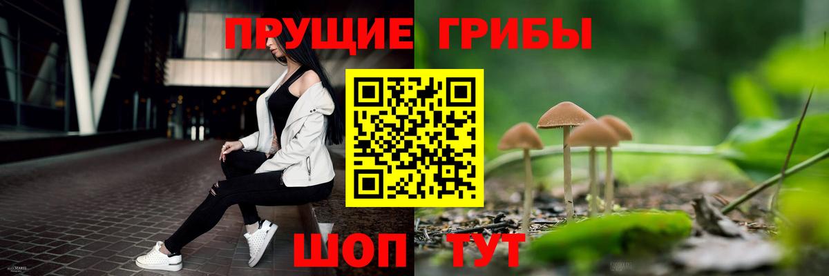 Псилоцибиновые грибы мицелий  Вход с VPN  Лобня  где продают наркотики  Псилоцибиновые грибы MAGIC MUSHROOMS 
